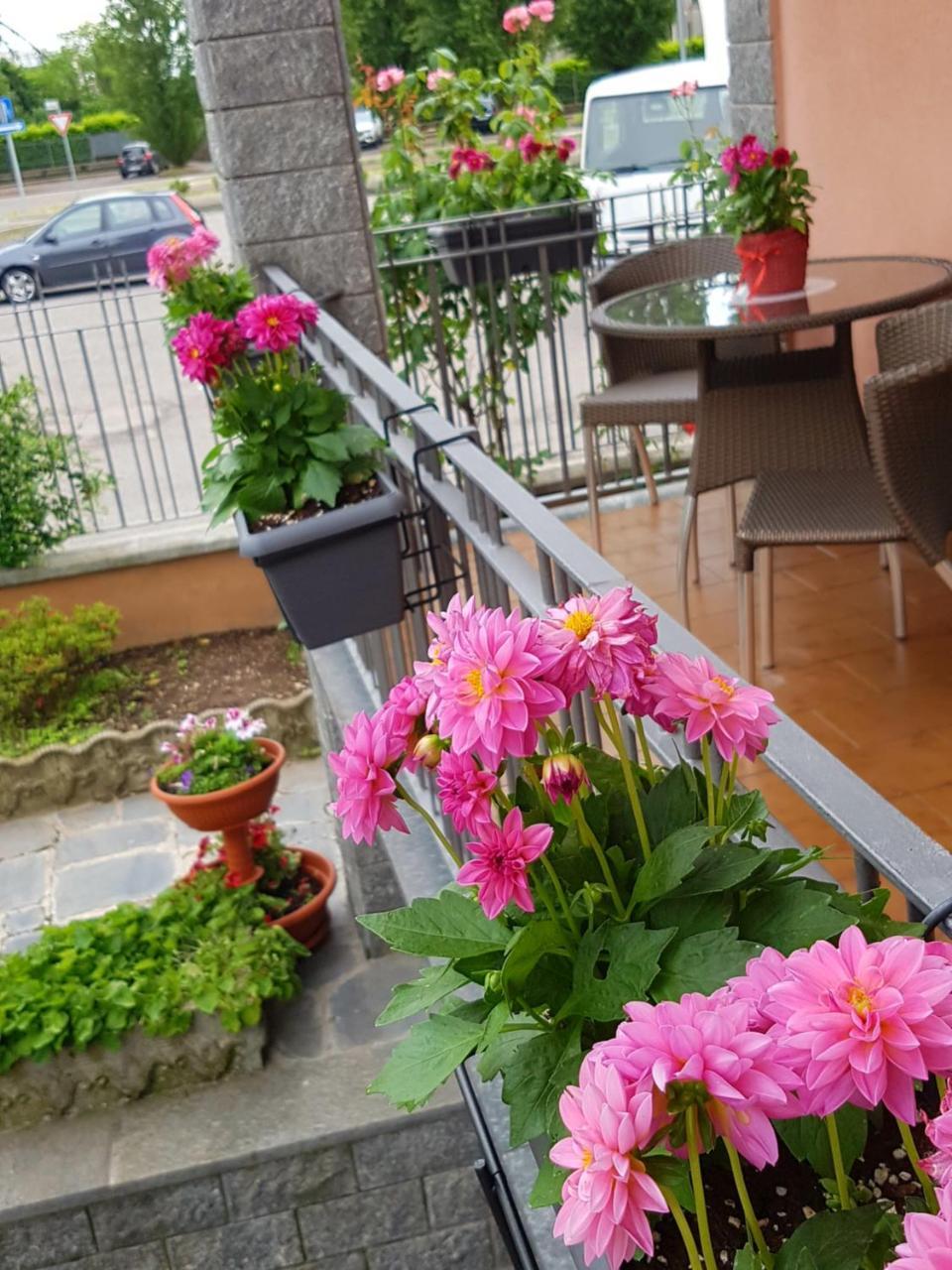 Villa Rosina Ро Екстериор снимка