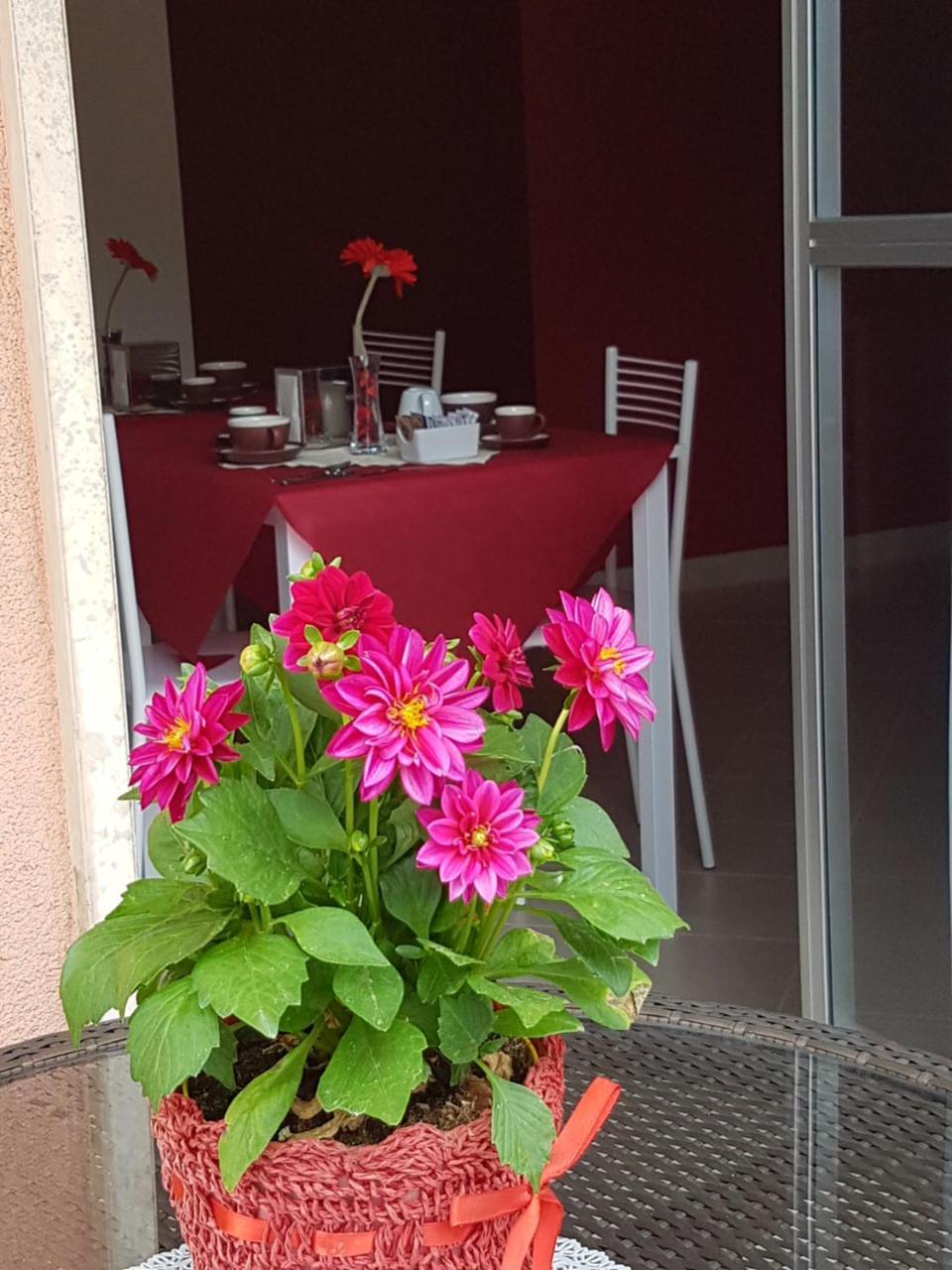 Villa Rosina Ро Екстериор снимка